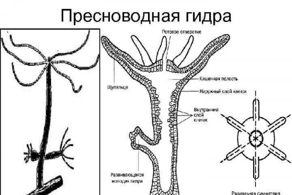 Кракен зеркало на тор