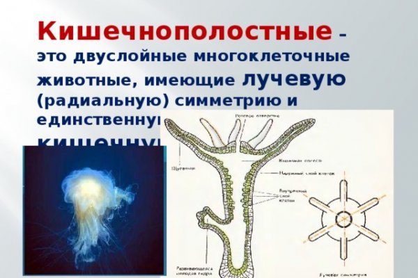 Как выйти на кракен