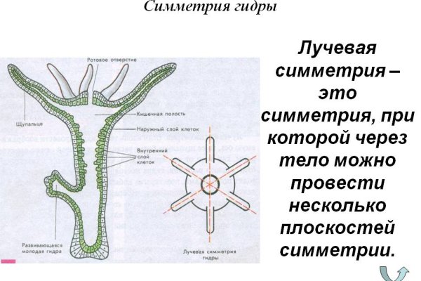 Кракен рабочая ссылка